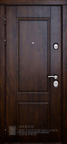 Фото «Дверь Порошок №31» в Александрову